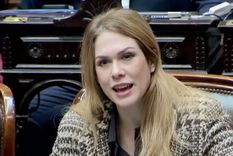 La diputada libertaria dijo que ella misma se está ocupando de distribuir alimentos a los comedores Foto: Captura de video