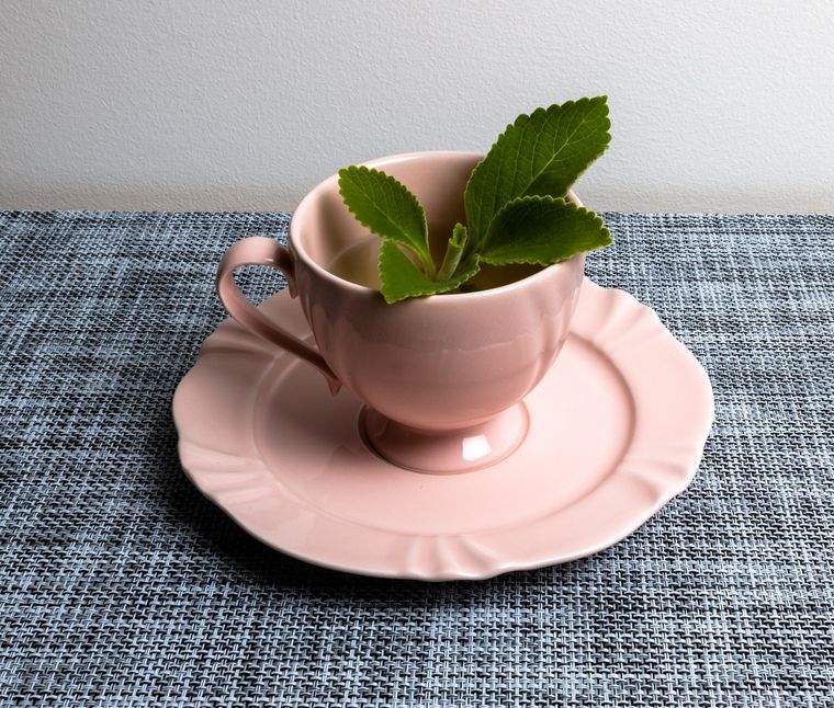 Foto: Ph Shutterstock