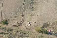 Foto: Pablo Icardi Foto: Pablo Icardi