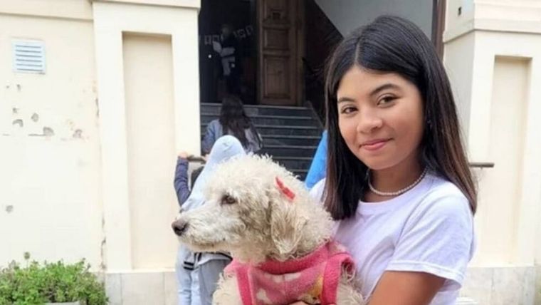 Una perrita caniche se perdió en el sur de la ciudad de Córdoba y caminó por toda la ciudad hasta llegar al colegio al que asiste su dueña. Foto: Gentileza