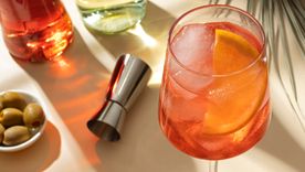 Verano, calor y gin, un nuevo trago que refrescará los días calurosos con un sabor único. Foto: Freepik
