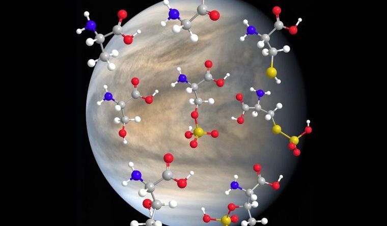 Venus podría tener el secreto para desarrollar vida en nuestros sistema Foto: DPA