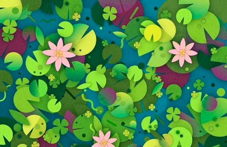 ¿Dónde está la tortuga?