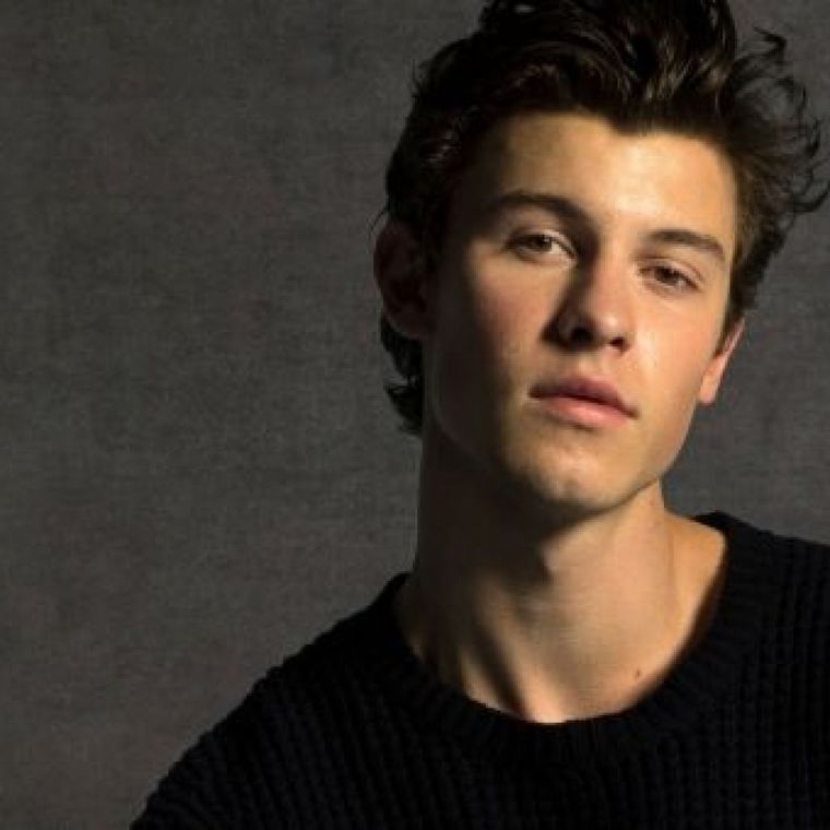 Foto: https://marieclaire.perfil.com/noticias/sociedad/que-es-la-dismorfia-corporal-de-la-cual-padece-shawn-mendes.phtml