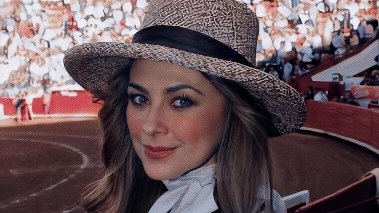 Aracely Arámbula, Luis Miguel