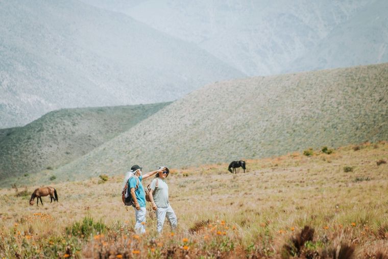 Tupungato tiene interesantes propuestas low cost este finde largo