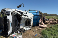 El hecho ocurrió en la Ruta 7.