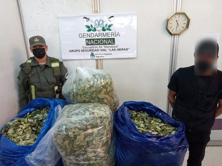El cargamento, que pesaba cincuenta kilos, provenía de Salta