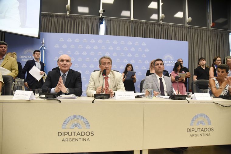 El oficialismo avanzó con el dictamen para suspender las PASO.
