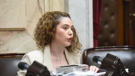 La diputada mendocina Lourdes Arrieta habló durante el debate por la baja de edad de imputabilidad y adelantó su voto a favor de la medida.