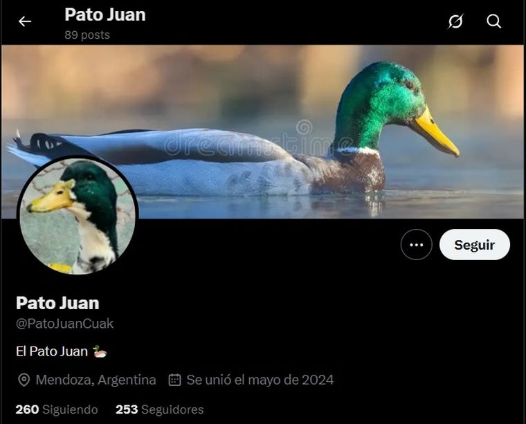 Este jueves, el perfil del pato tiene más de 200 seguidores que comparten y apoyan sus humoradas. Este jueves, el perfil del pato tiene más de 200 seguidores que comparten y apoyan sus humoradas.
