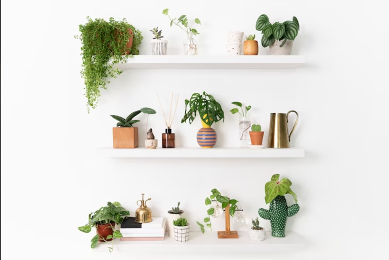 Las estanterías son buenas aliadas a la hora de aprovechar espacios en el hogar. Las estanterías son buenas aliadas a la hora de aprovechar espacios en el hogar.