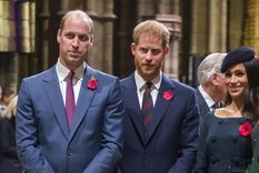 William y Harry Foto: Quien