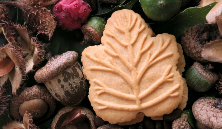 Cómo hacer galletas de hoja de arce: el sabor de Canadá Foto: Shutterstock