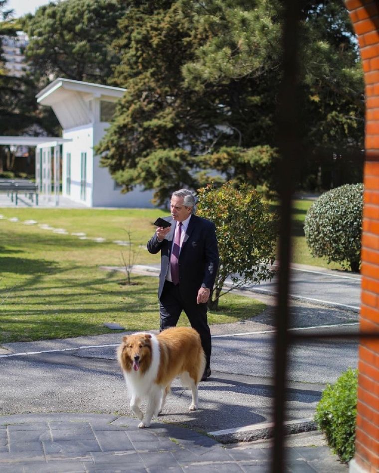 Foto: Instagram Alberto Fernández