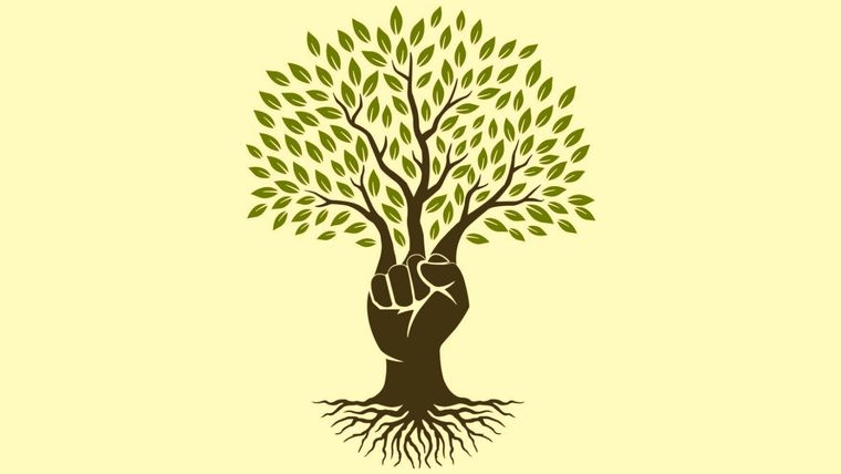 Test de personalidad