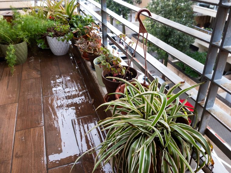 Es una experiencia gratificante que te permite conectar con la naturaleza. Foto: Archivo