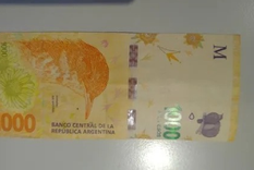 a fijarse en casa: como es el billete de $1.000 que multiplica su valor por un error