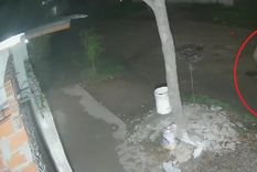 Miguel Ángel Lavaselli fue hallado muerto en su domicilio tras un aparente robo que terminó de manera trágica Foto: captura video Miguel Ángel Lavaselli fue hallado muerto en su domicilio tras un aparente robo que terminó de manera trágica Foto: captura video