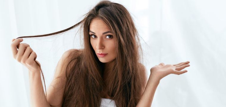 Un pelo brillante es sinónimo de buena salud. Foto: Archivo