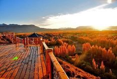 Un lugar ideal para vivir o para tener unas vacaciones en paz. Foto: Turismo Los Antiguos