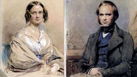Emma (1808 –1896) y Charles Darwin (1809-1882) estuvieron casados por 43 años y tuvieron 10 hijos.