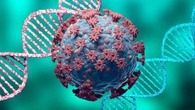 El nuevo estudio de investigadores de Brasil y Reino Unido indica que la variante de Manaos podría ser hasta dos veces más transmisible que el virus previo de covid en esa localidad. Foto: GETTY IMAGES