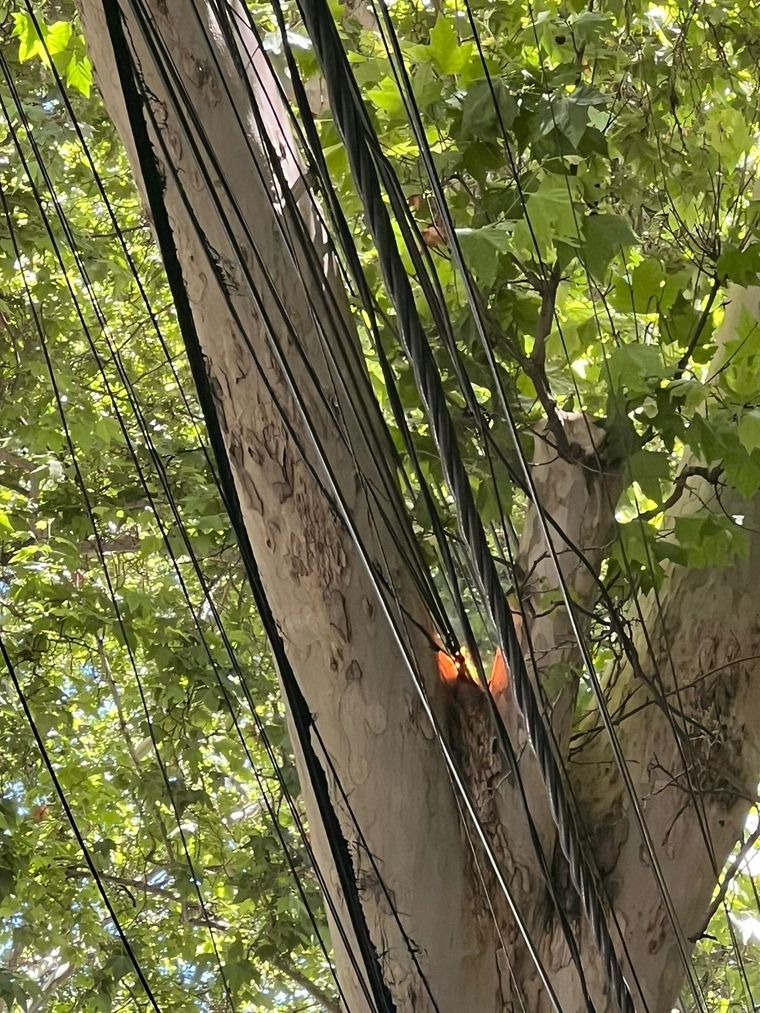 El pequeño foco de incendio fue detectado en un cableado ubicado en las calles Montevideo y España de la Ciudad de Mendoza