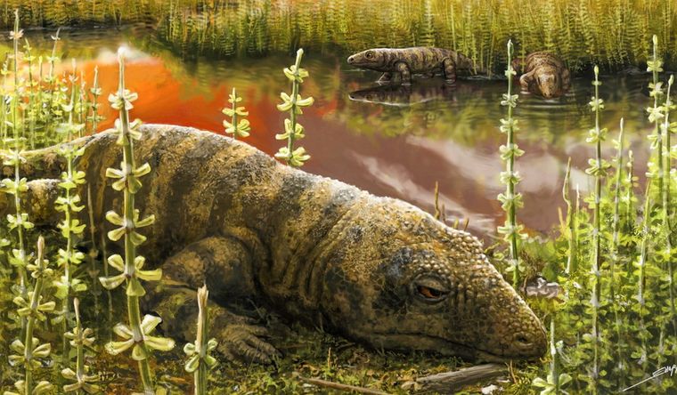 reptil prehistórico Los reptiles para fundamental de la cadena evolutiva. Foto: HSharpe,