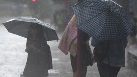 Las fuertes lluvias del pasado viernes marcaron un récord histórico. Las fuertes lluvias del pasado viernes marcaron un récord histórico.