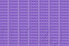 Estudios sugieren que este tipo de actividades fortalecen la memoria, el enfoque y la velocidad de procesamiento mental Foto: Archivo MDZ