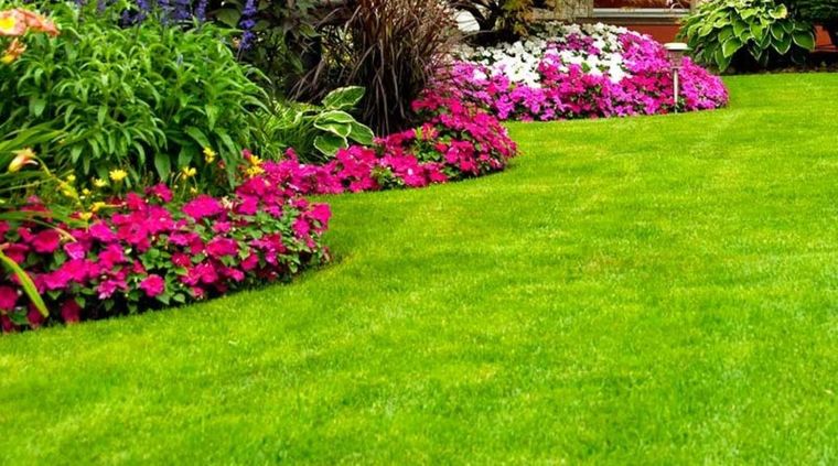 Los amantes de la jardinería buscan tener un pasto verde y saludable en sus jardines. Foto: Shutterstock