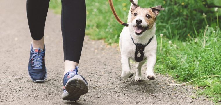 El mejor horario para pasear en verano es antes de las 10 o después de las 19. Foto: Archivo