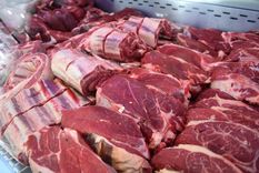 ¿carne para todos? el beneficio no se reflejara en las carnicerias