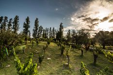 paella solidaria en chachingo para ayudar a la educacion de los ninos