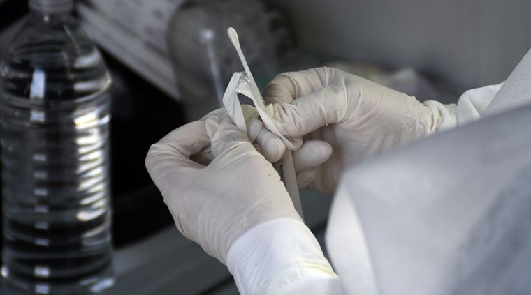 Foto: ALF PONCE MERCADO / MDZ