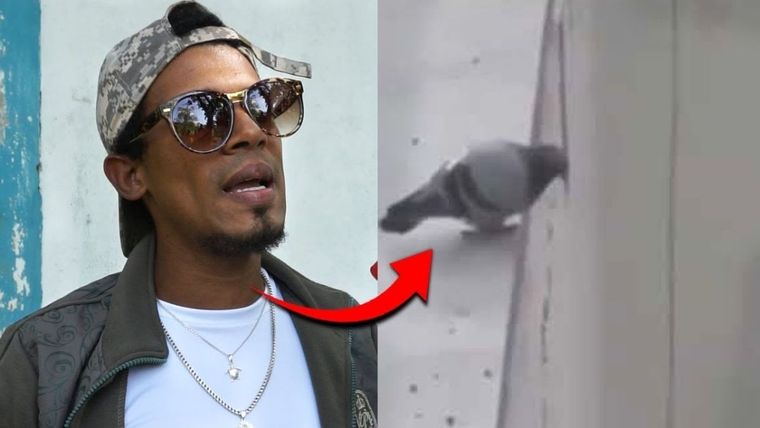 TikTok, video viral, “ME WA MATA WIII” YouTube Capricornio TV Foto: YouTube Capricornio TV