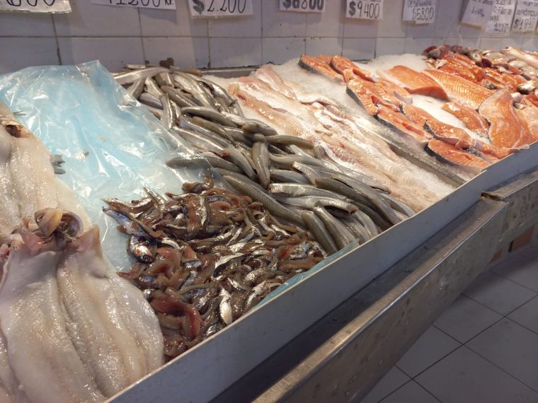 Pescaderías llenas y carnicerías vacías, la sorpresa después de las PASO Foto: MDZ