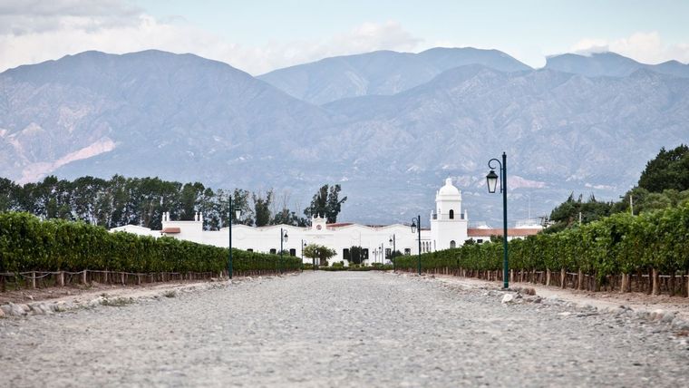 Una bodega referente del Norte Argentino