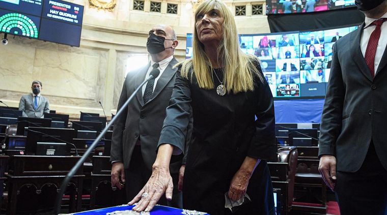 Foto: Prensa Senado. La senadora de Juntos por el Cambio exige el fin de los superpoderes del Gobierno con respecto al campo.