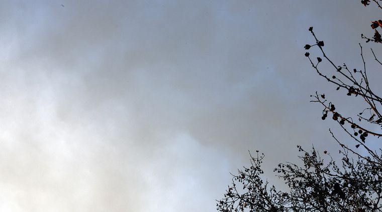 Foto: Alf Ponce / MDZ