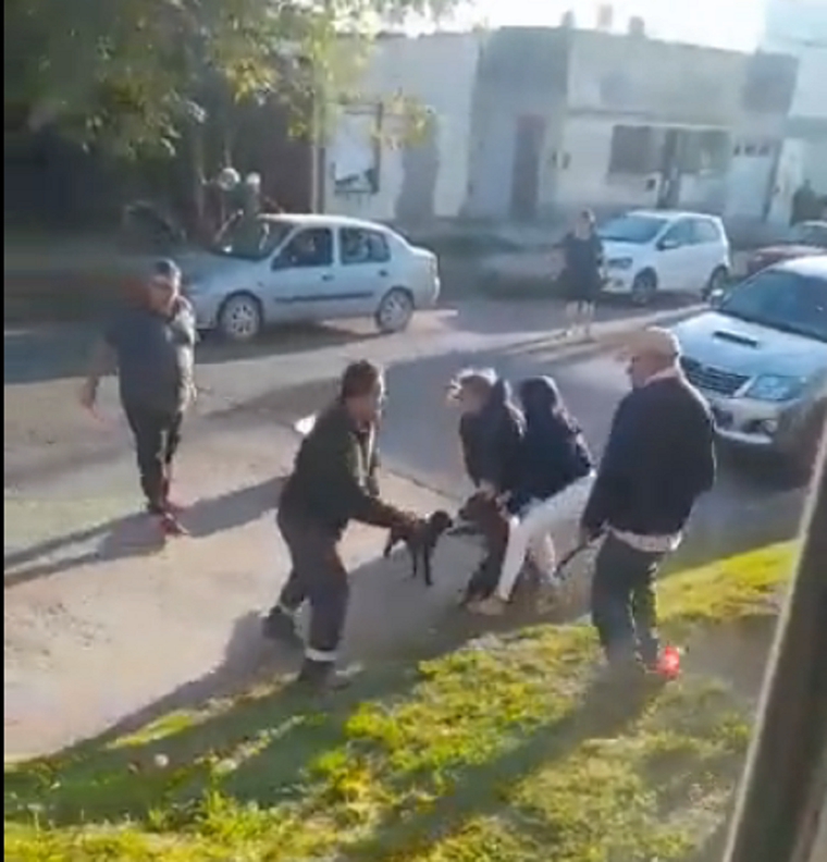 Los vecinos tratando de parar al pitbull Foto: Captura de video