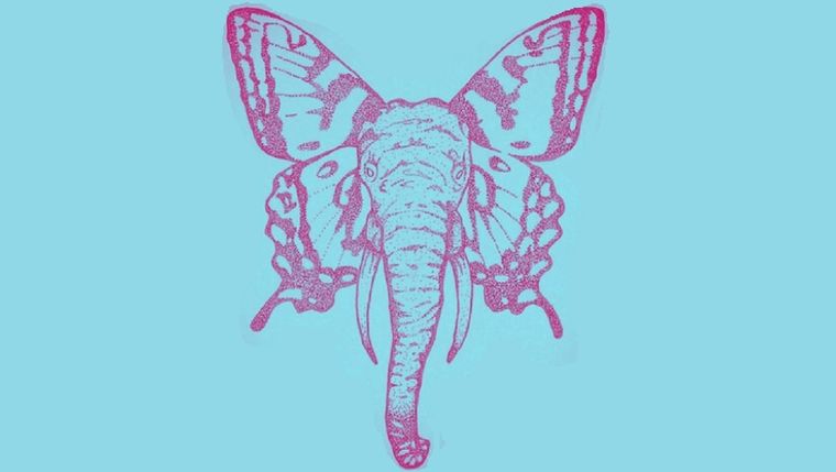 Test de personalidad