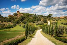 La Toscana es una de las regiones más lindas del mundo Foto: Shutterstock
