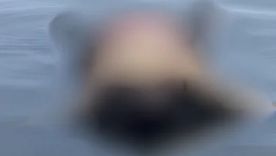 El cadáver se encontraba a metros de la subida, a la altura de la localidad de Ensenada.&nbsp;