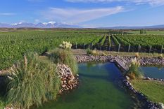 Este jueves 24 de noviembre se llevaron a cabo las II Jornadas del Turismo del Vino