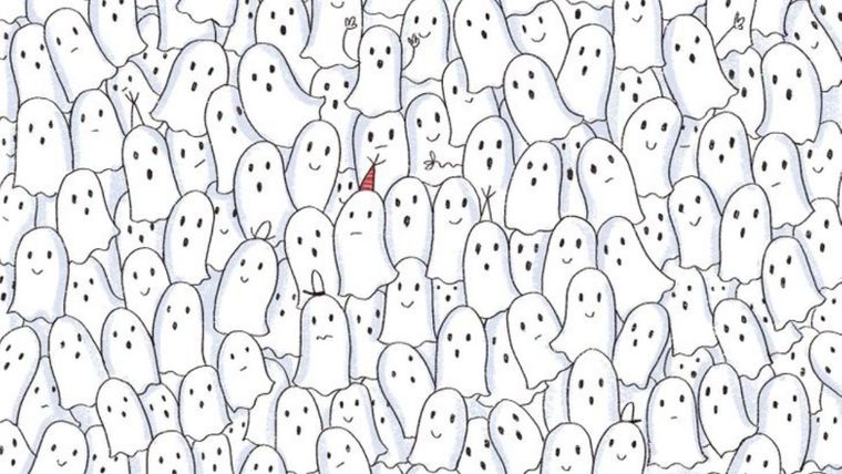 Acertijo visual, reto visual, foca Pinterest Foto: Pinterest