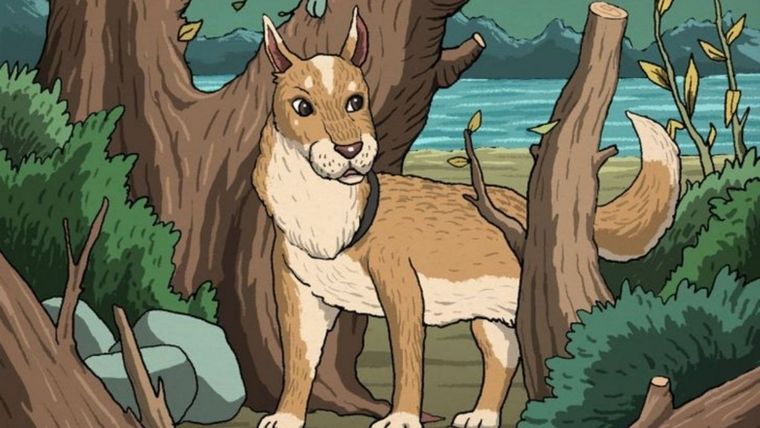 ACERTIJO VISUAL ACERTIJO VISUAL, RETO VISUAL, FELINO Foto: ARCHIVO