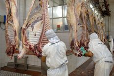 el consumo de carne vacuna cae al menor registro historico con 47,3 kilos por habitante