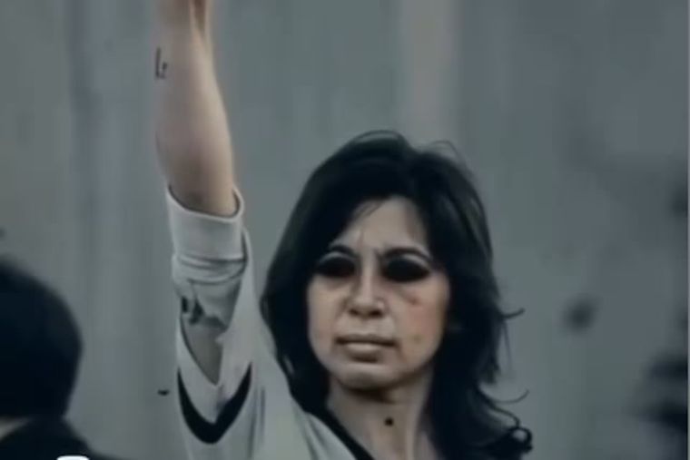 Milei logró lo que quería y su video generó polémica Foto: Captura de video